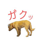 はなこちゃんスタンプ その1（個別スタンプ：38）