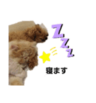 可愛ネコテンくん（個別スタンプ：4）