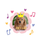 I'm maron（個別スタンプ：4）