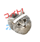 むぎちゃんダイアリー2（個別スタンプ：8）