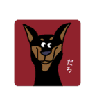 ワンコたちのstamp☻（個別スタンプ：5）