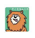 ワンコたちのstamp☻（個別スタンプ：10）