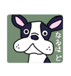 ワンコたちのstamp☻（個別スタンプ：14）