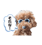 こむたん's  2（個別スタンプ：7）