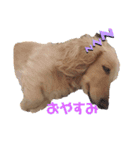 ランランランちゃんです（個別スタンプ：1）
