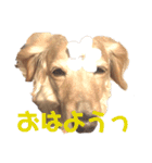 ランランランちゃんです（個別スタンプ：6）
