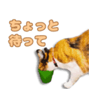 ミミの毎日あいさつ（個別スタンプ：21）