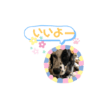 てぃーちゃんくぅーちゃん2（個別スタンプ：1）