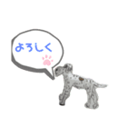 てぃーちゃんくぅーちゃん2（個別スタンプ：3）