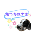 てぃーちゃんくぅーちゃん2（個別スタンプ：7）