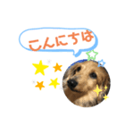 てぃーちゃんくぅーちゃん2（個別スタンプ：8）