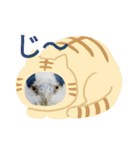 Riki243s #3（個別スタンプ：16）