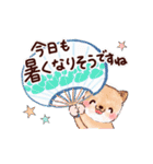 夏わんこ☆敬語（個別スタンプ：5）