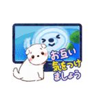 夏わんこ☆敬語（個別スタンプ：21）