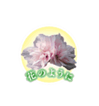 はなえ様Line_stamp（個別スタンプ：4）