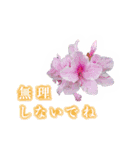 はなえ様Line_stamp（個別スタンプ：10）