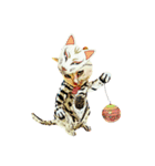 Happy Rock cat 9（個別スタンプ：3）