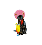 Happy Rock cat 9（個別スタンプ：5）
