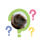 しろねこわさびのスタンプです（個別スタンプ：13）