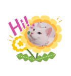 しろねこわさびのスタンプです（個別スタンプ：15）