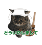 猫野家すたんぷ【日常・学芸会編】（個別スタンプ：3）