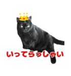 猫野家すたんぷ【日常・学芸会編】（個別スタンプ：5）