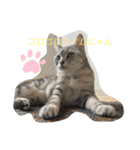 れいちゃんの日常で使えるスタンプ（個別スタンプ：4）