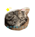 れいちゃんの日常で使えるスタンプ（個別スタンプ：6）