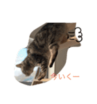 れいちゃんの日常で使えるスタンプ（個別スタンプ：9）