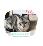 れいちゃんの日常で使えるスタンプ（個別スタンプ：10）