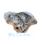 れいちゃんの日常で使えるスタンプ（個別スタンプ：13）