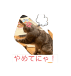 れいちゃんの日常で使えるスタンプ（個別スタンプ：16）