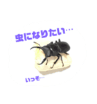 〜社会不適合者〜 SFS stanps（個別スタンプ：15）