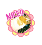 ねこねこにゃあーー（個別スタンプ：6）