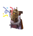 ねこねこにゃあーー（個別スタンプ：7）
