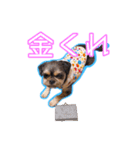 犬犬猫（個別スタンプ：19）