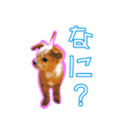 犬犬猫（個別スタンプ：20）