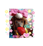 ヨーキーあいちゃん（個別スタンプ：7）
