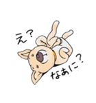話を聞かないウチの犬（個別スタンプ：1）