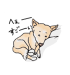 話を聞かないウチの犬（個別スタンプ：2）