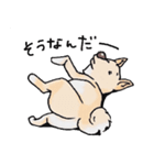 話を聞かないウチの犬（個別スタンプ：3）