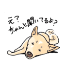 話を聞かないウチの犬（個別スタンプ：5）
