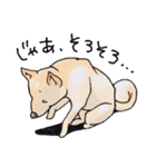 話を聞かないウチの犬（個別スタンプ：6）