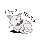 話を聞かないウチの犬（個別スタンプ：8）