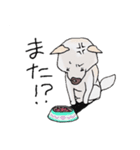 話を聞かないウチの犬（個別スタンプ：10）