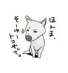 話を聞かないウチの犬（個別スタンプ：11）