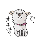 話を聞かないウチの犬（個別スタンプ：12）