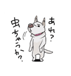 話を聞かないウチの犬（個別スタンプ：13）