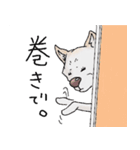 話を聞かないウチの犬（個別スタンプ：14）