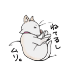 話を聞かないウチの犬（個別スタンプ：16）